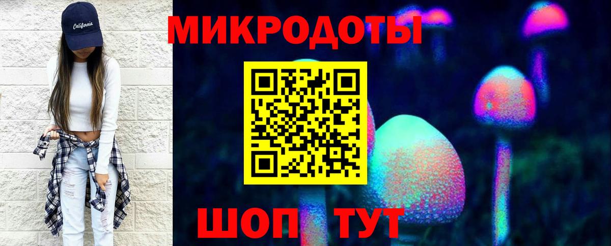 Галлюциногенные грибы Psilocybine cubensis Тула